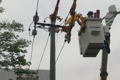 湖北電力：助力“小黃人”科學成長