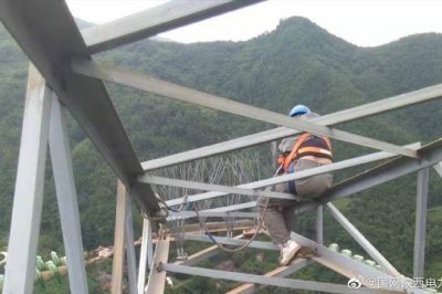 330千伏線路安裝防鳥刺，消除線路鳥害隱患