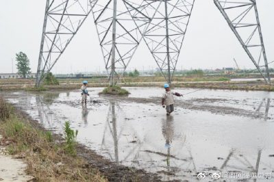 架設(shè)線路、安裝電纜引下線，解決農(nóng)民秸稈焚燒問題