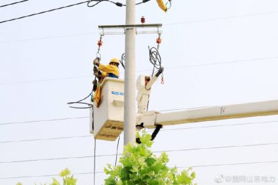 莘縣供電公司10千伏蔡莊線17號(hào)桿帶電T接變壓器