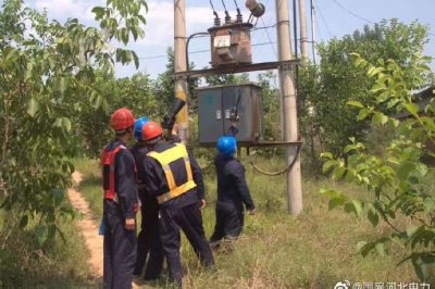 10千伏洛平513線路開展雨后特巡，力保供電可靠