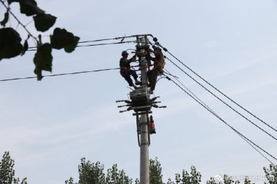 東阿縣供電公司新架設(shè)電桿5基、絕緣導(dǎo)線1000米