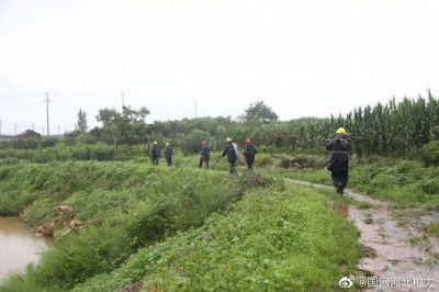 海興縣供電公司對10千伏海小線進行隱患排查