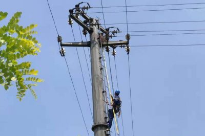 隆堯縣供電公司在10千伏線路進行鳥窩清理工作