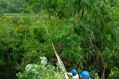 萬州供電公司搶修10千伏線路安裝新導(dǎo)線成功送電