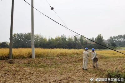 高郵市供電公司維護(hù)丘陵段的稻田用電打水口