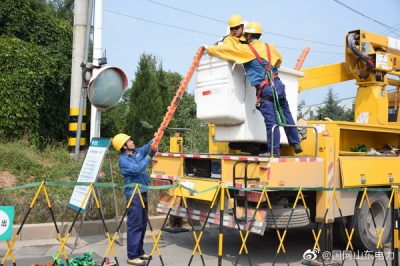 平陰縣供電公司帶電更換避雷器