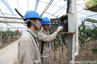 對火龍果種植基地內(nèi)的用電設(shè)備進(jìn)行安全隱患檢查