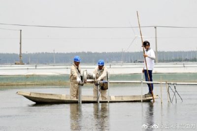 新增配電變壓器為湖畔生態(tài)農(nóng)場添“動力”