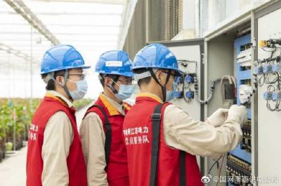 為大棚電力線路、電氣化設(shè)備進行縝密排查和整改消缺
