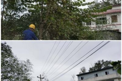 對10千伏禾臘線消水坨臺區(qū)、石家寨臺區(qū)進行巡視