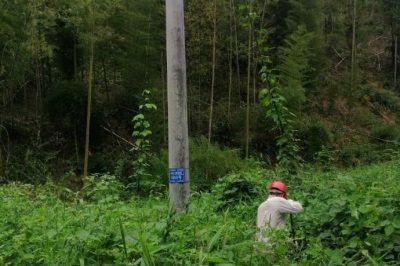 配電運(yùn)行員清理10千伏黃陶線(xiàn)#1050號(hào)桿通道內(nèi)的藤蔓和樹(shù)障