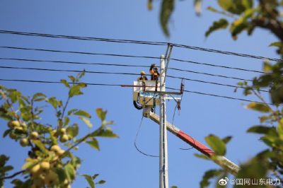 為一重鋼工程有限公司新增變壓器帶電接引流線