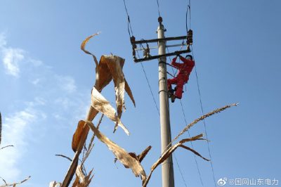 對10千伏春興線海防支線進(jìn)行清掃、檢修