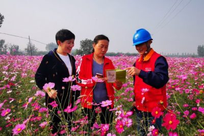 對(duì)玉山店村百畝格?；ㄋ诰€路進(jìn)行全方位的巡視排查