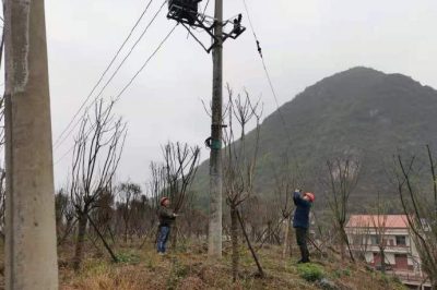 農(nóng)電檢修人員對小石線、高石線等10千伏線路進行集中巡視測溫