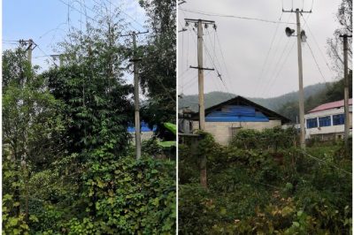 對所轄區(qū)域內6條10千伏線路通道再次進行巡視