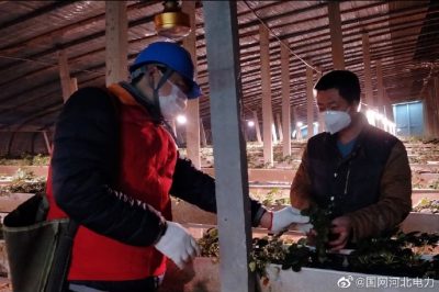 為果蔬大棚檢查供電線路、開關、照明燈具，以及水泵、卷簾機等設備