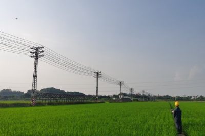 東莞東城周屋水稻示范區(qū) 開展配網(wǎng)線路精細化巡檢